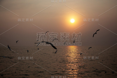 日落时分的飞鸟海景