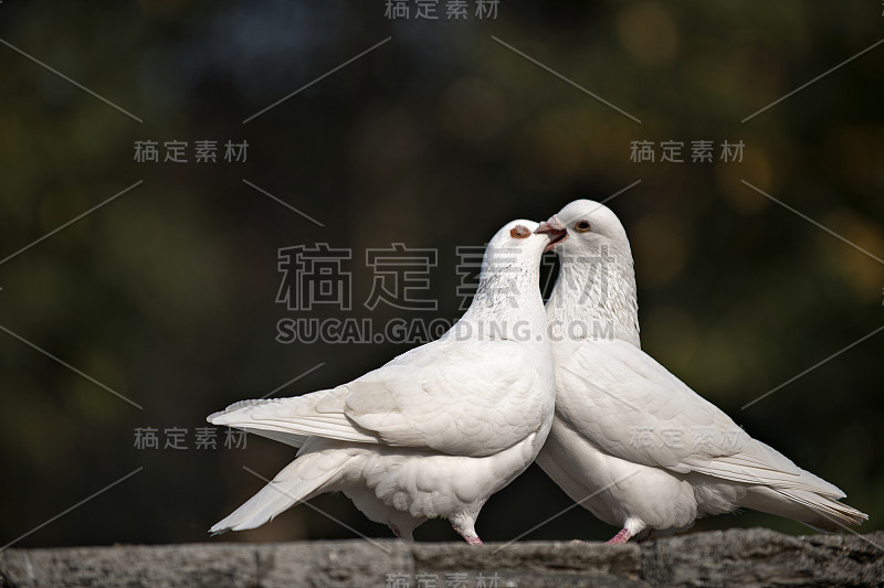 在哪里