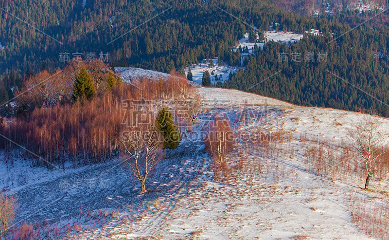 有雪和树的花园。农村罗马尼亚