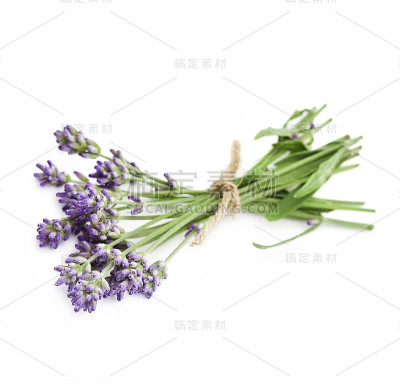 一束薰衣草