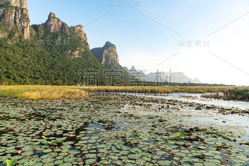 Bueng Bua木板路/莲花湖