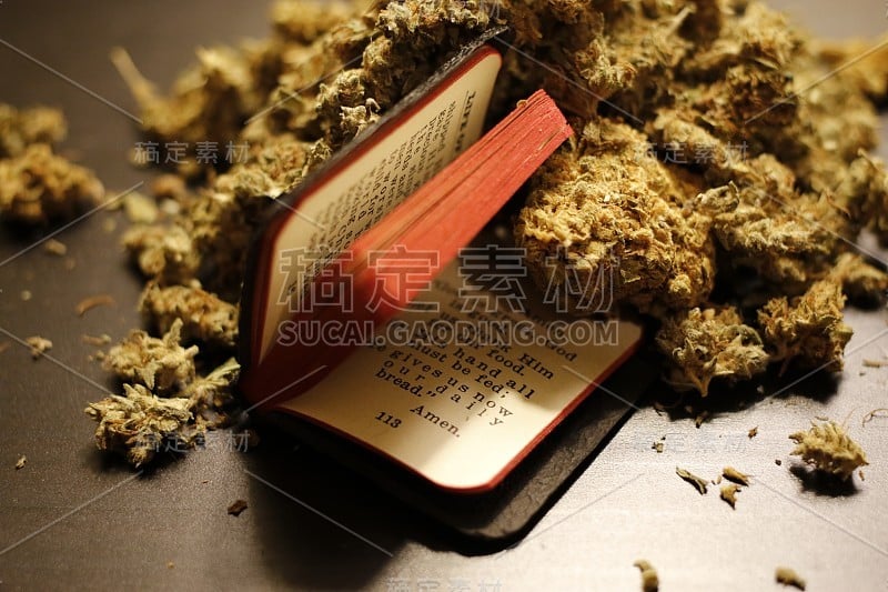 毒品:带有大麻芽的小圣经