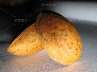 微距拍摄的杏仁壳孤立在白色背景