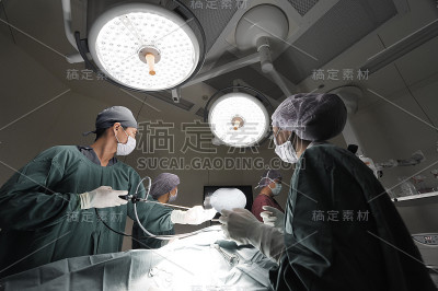 兽医师组在手术室进行腹腔镜手术