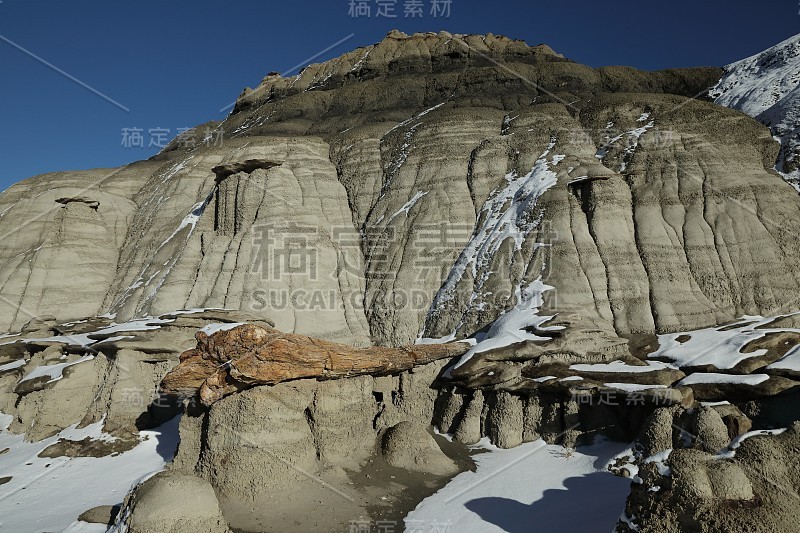 比斯提荒地，德纳津荒野地区，新墨西哥州，美国