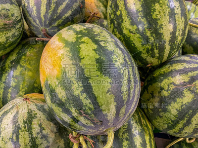 全框照片剥离绿色西瓜的背景概念