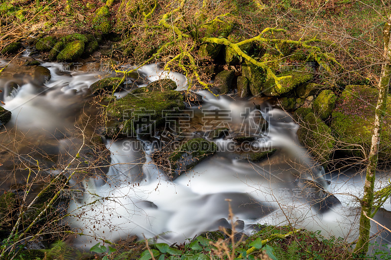 在埃克斯穆尔Watersmeet