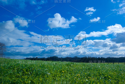 绿色和蓝色