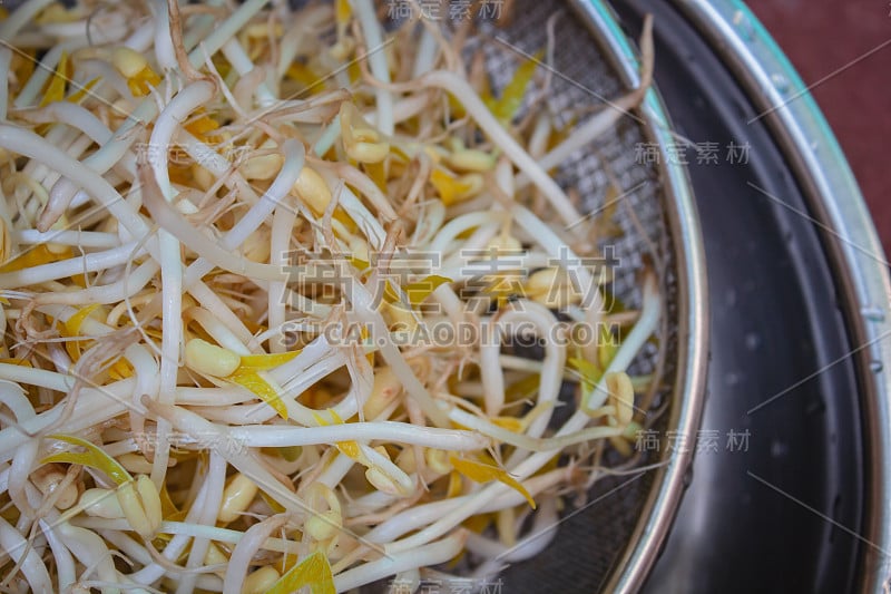 豌豆种子和豆芽。