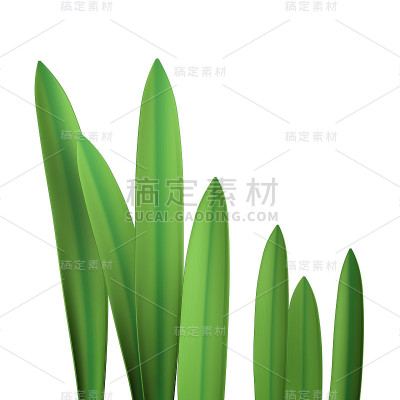 3 d绿草