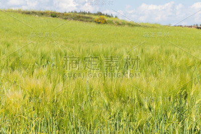 库斯科地区