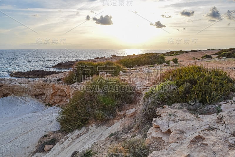 珊瑚湾是地中海沿岸傍晚日落时分。帕福斯区。塞浦路斯岛的野生自然