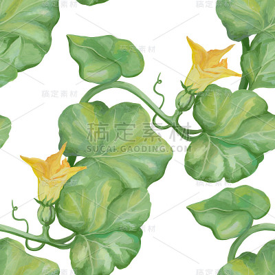 秋天的模式。美丽的背景茎和南瓜叶。用丙烯酸颜料作画。复古风格。植物草图。理想的明信片，包装纸，织物和