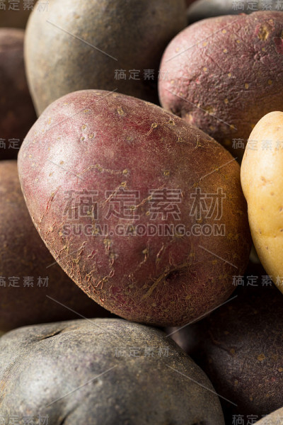 生有机彩虹小土豆