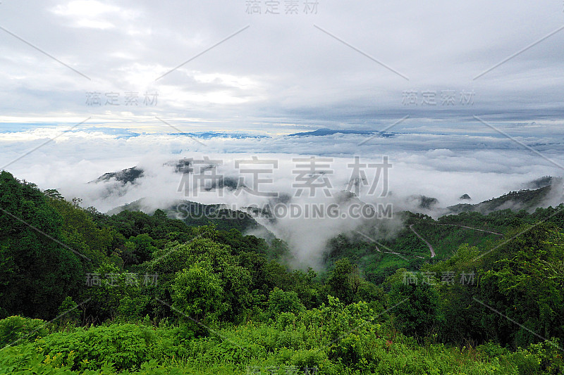 山景与浓雾