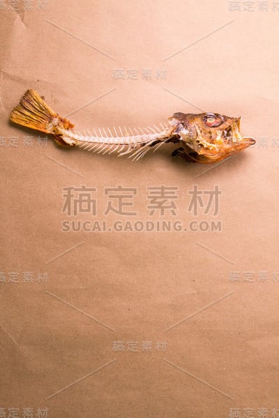 屠夫纸上的石鱼骨架