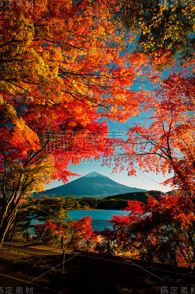 Mt.Fuji在秋天