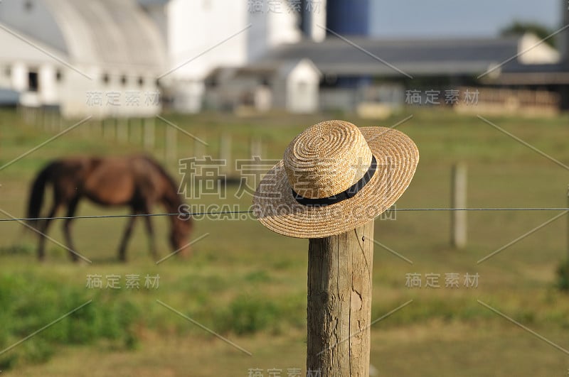 阿米什草帽，背景是农场