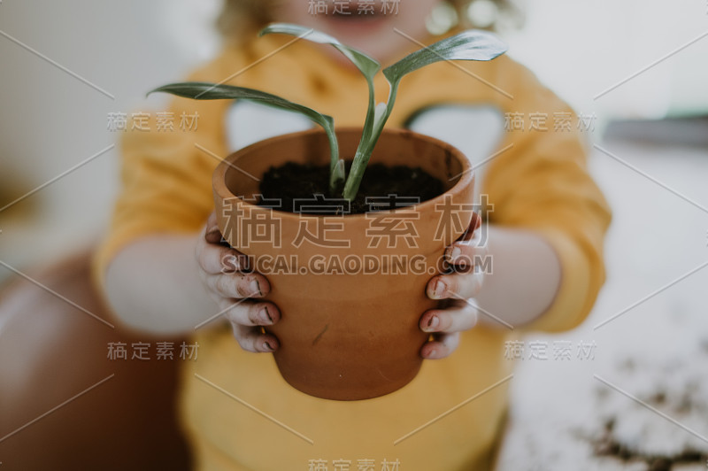 孩子拿着植物