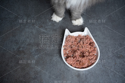 猫粮