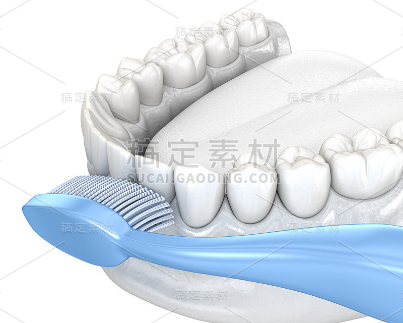 用牙刷清洁牙齿，隔离上白。口腔卫生的医学精确3D插图。