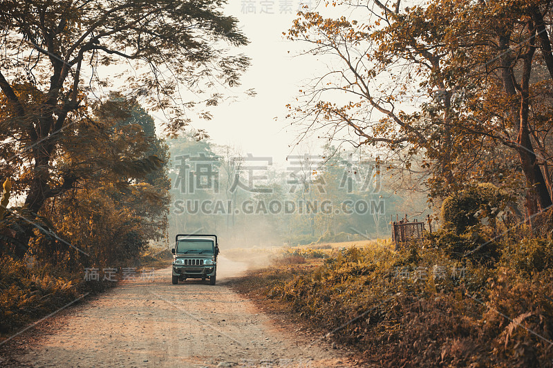 吉普车在赤湾雾蒙蒙的森林道路清晨。