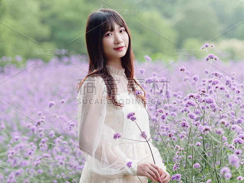 美丽的女人在白色的裙子摆姿势在紫色的马鞭草花田，迷人的中国女孩与黑色的长发享受她的休闲时间户外。