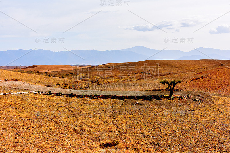 摩洛哥星空沙漠