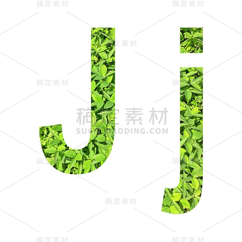 英文字母“J。“J”由绿草在白色背景上分离