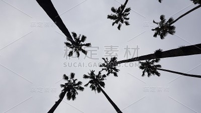 阿根廷巴塔哥尼亚