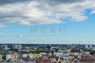 爱沙尼亚塔林风景优美的夏季全景