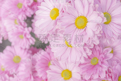 甜蜜的粉色花朵