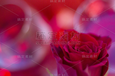 两杯红酒配一朵红玫瑰