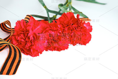 三个红色康乃馨花和圣乔治丝带在白色背景特写。5月9日(胜利日)的节日贺卡。