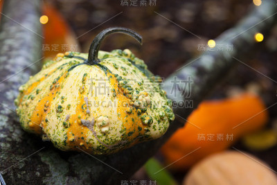 万圣节南瓜