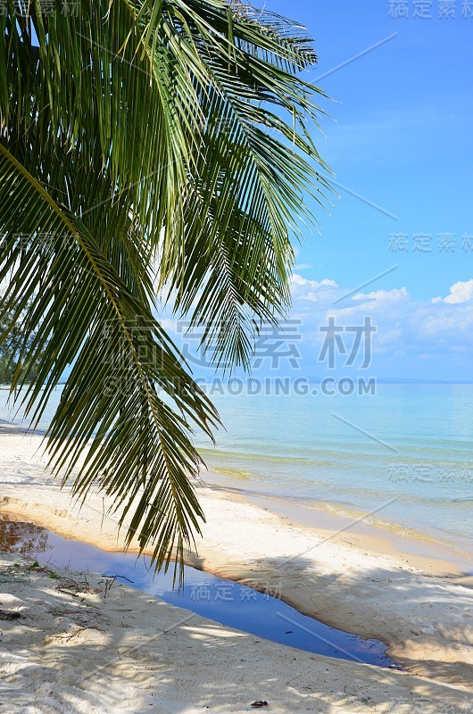 柬埔寨Koh Rong岛宝塔海滩的景色