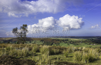 英国约克郡格莱斯代尔的北约克摩尔。