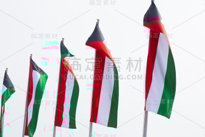 在卡塔尔的一场活动中，多面科威特国旗在白天飘扬