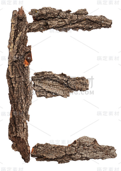 来自树皮的字母。字母E
