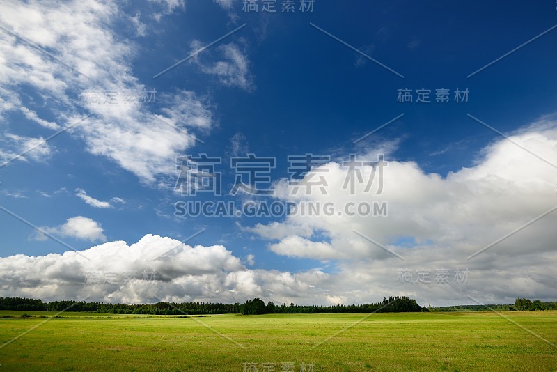 绿色的田野映衬着蓝天白云