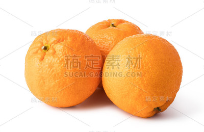 官员