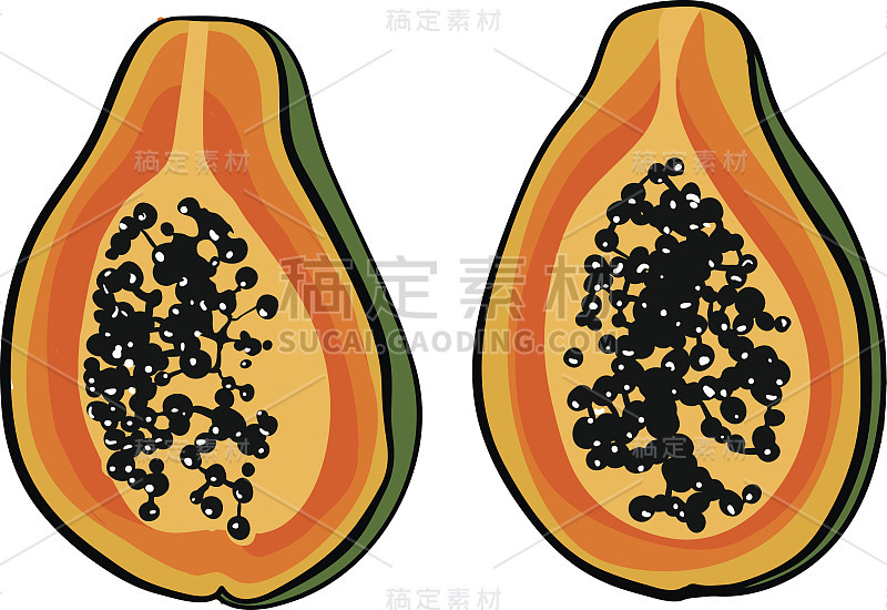 热带番木瓜插图。矢量打印与异国水果。