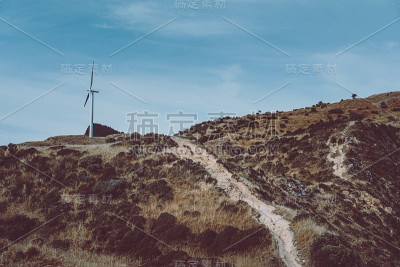 风景与风力涡轮机农场在惠灵顿