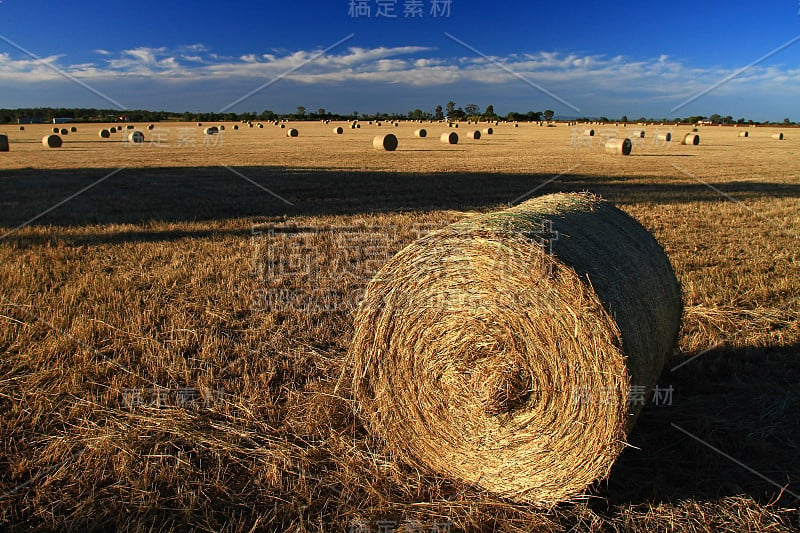 丰收的季节