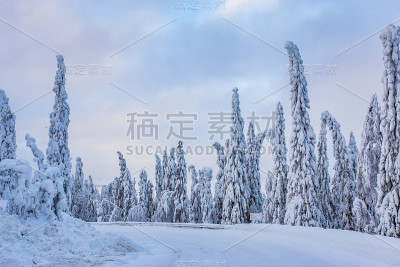 来自芬兰索特卡莫的大雪景观。