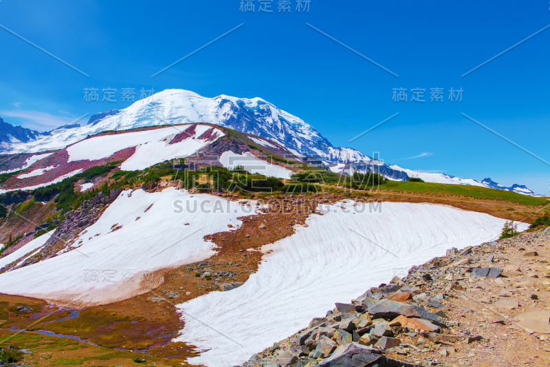 夏天在雷尼尔山国家公园徒步