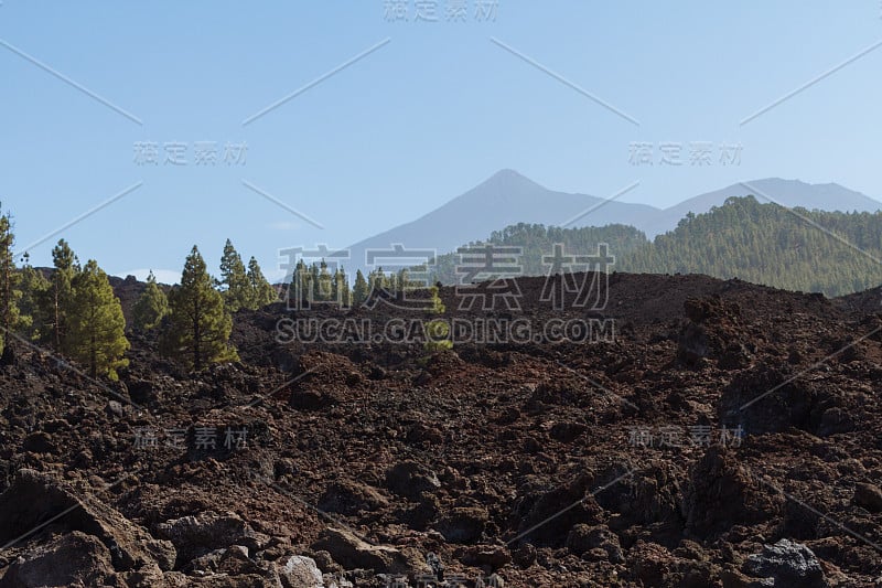 黑暗的火山沙漠景观与绿色的树木