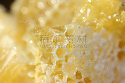 带有液体蜂蜜的蜂巢