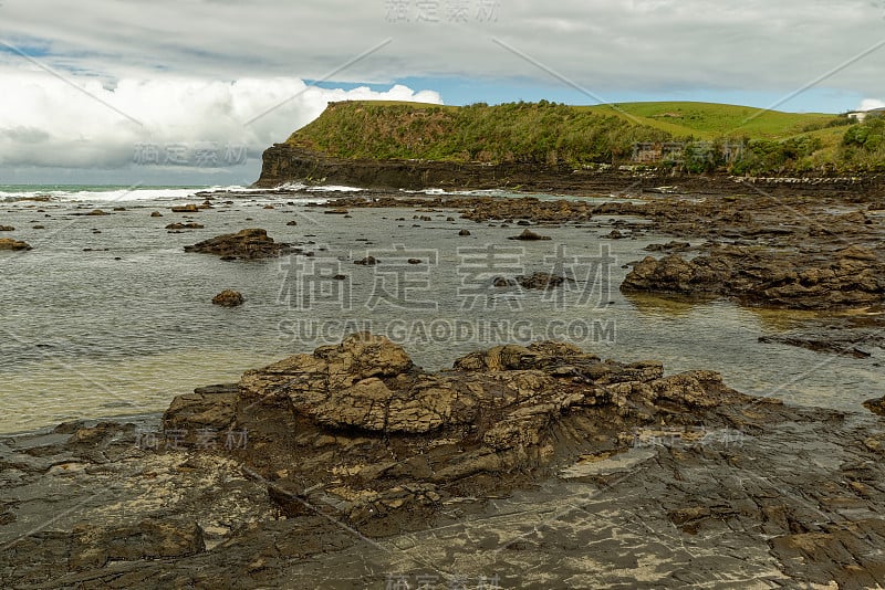 风景新西兰古玩湾-海岸与史前化石木材，地点石化森林约1.8亿年前。