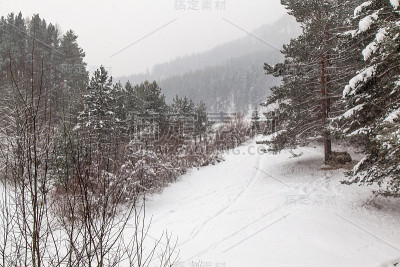 斯洛伐克山坡上白雪覆盖的森林
